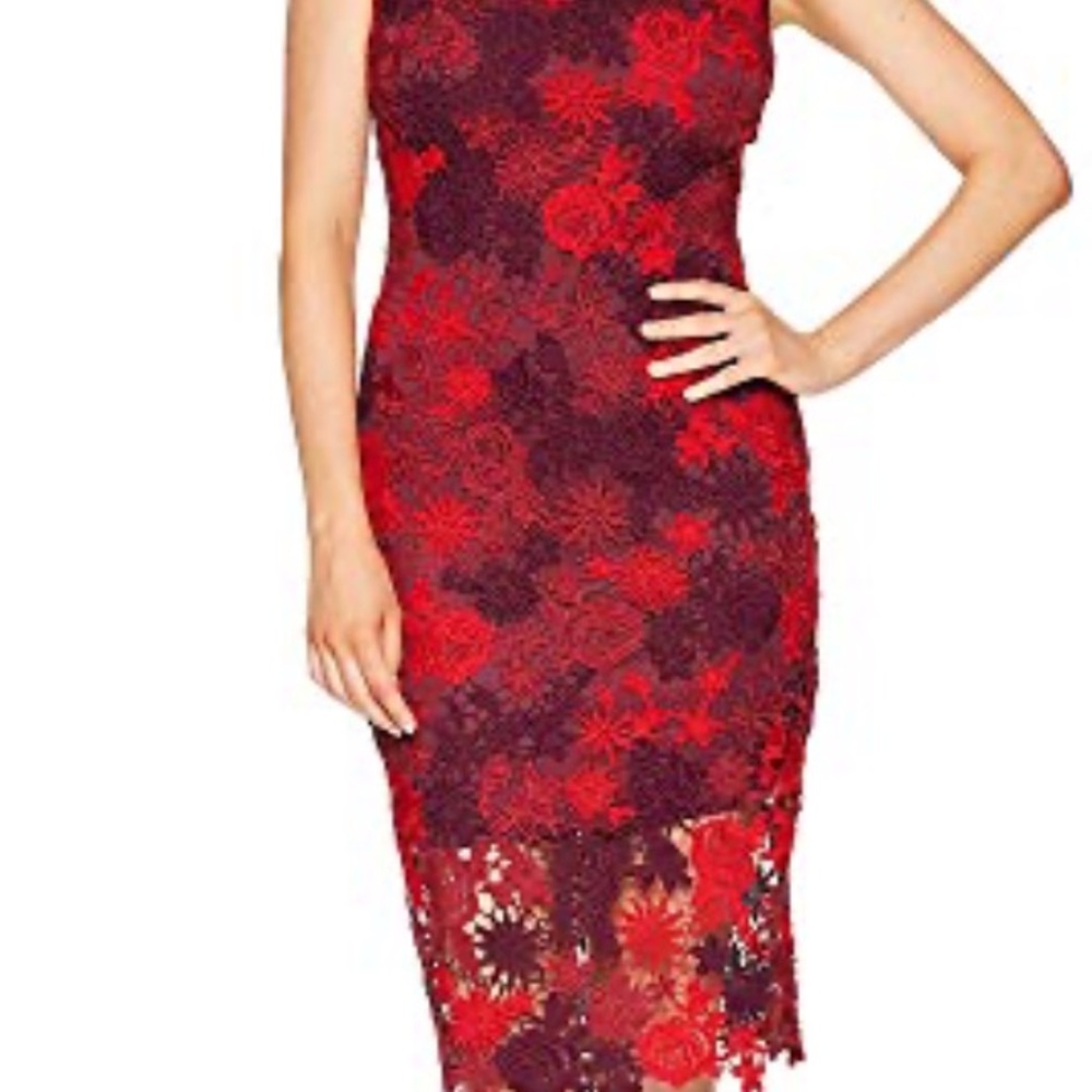 ALEXIA ADMOR Flora Lace Midi Dress Size 14 XL